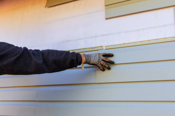 Best Siding Replacement  in Dresden, TN